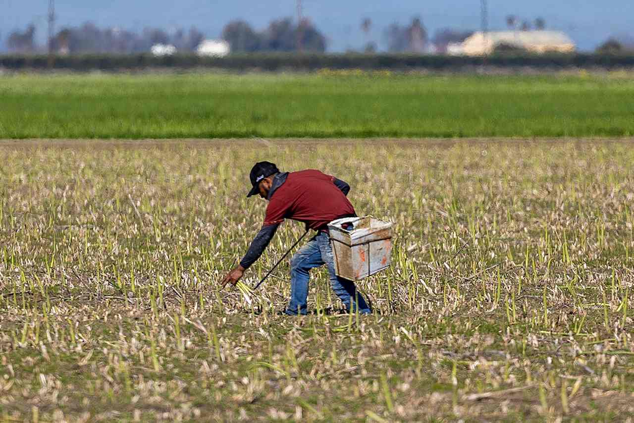 Chipotle and Sweetgreen bet big on small farmers amid agriculture crisis