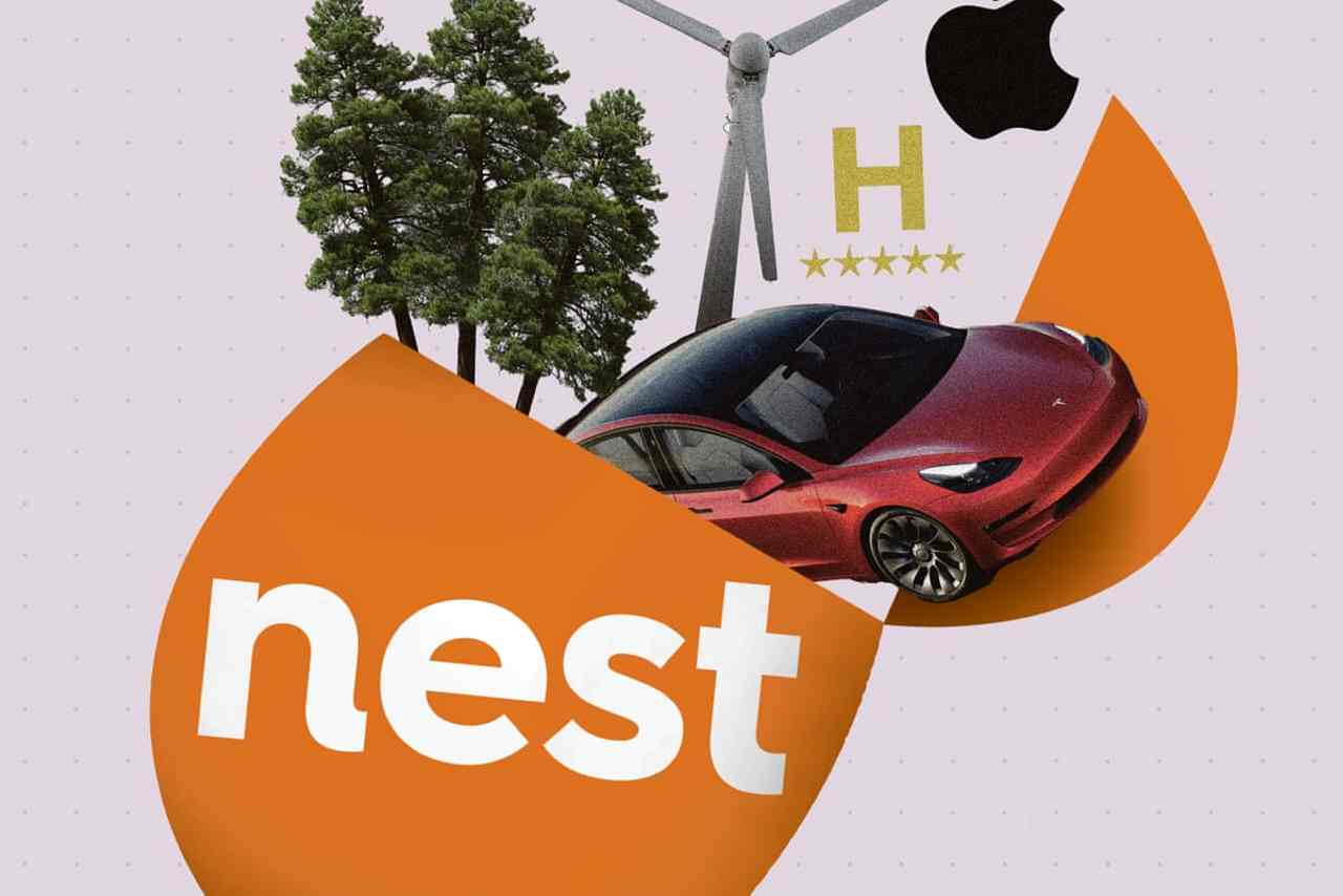 From Tesla to forests: what Nest does with 13m UK savers’ pension cash